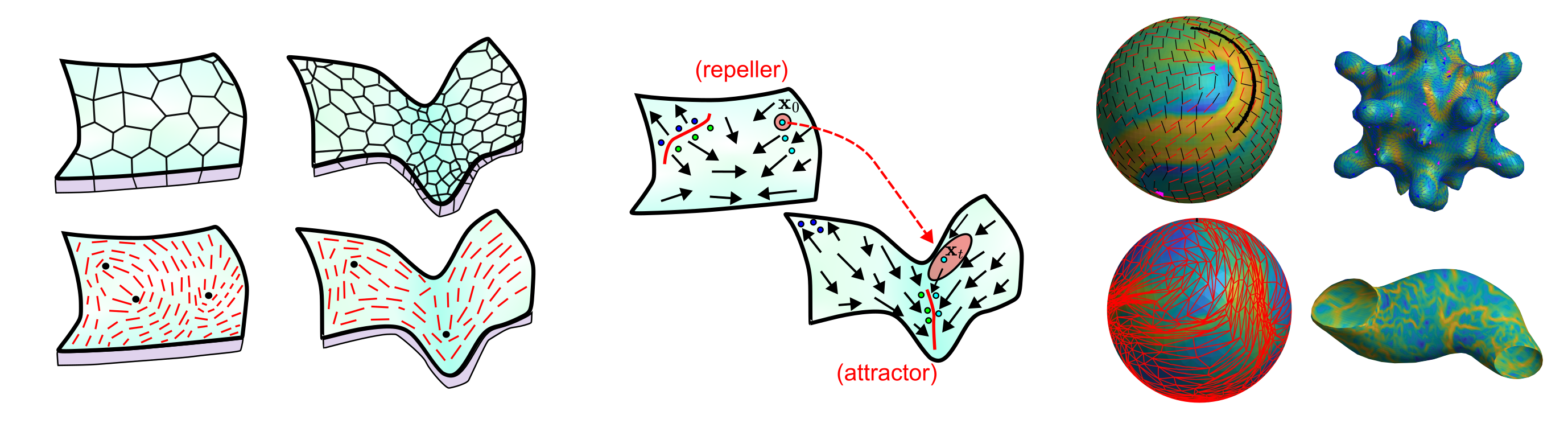 Introduction To Curved Surface FTLE