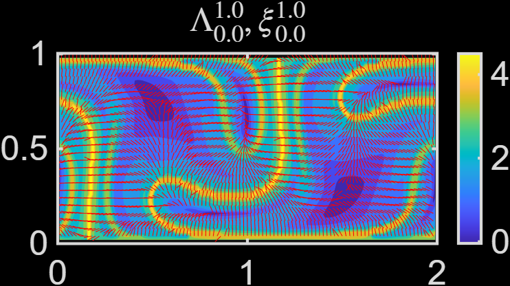 Result of FTLE Analaysis