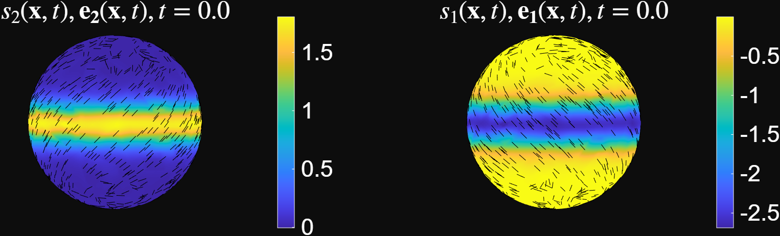 Result of OECS Analaysis